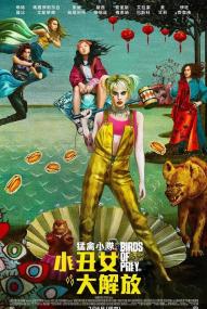 魅力社989pa com-哈莉·奎因:猛禽小队 Birds of Prey And the Fantabulous Emancipation of One Harley Quinn 2020 BD1080P X264 AAC 特效中英双字