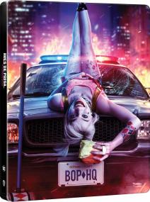 Birds of Prey - And the Fantabulous Emancipation of One Harley Quinn (2020) ~ TombDoc